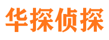 罗湖市调查公司